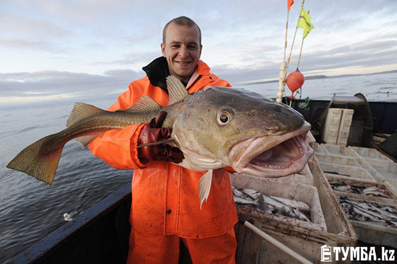 Порно әлеміндегі ең үлкен сиськи фотосуреттері